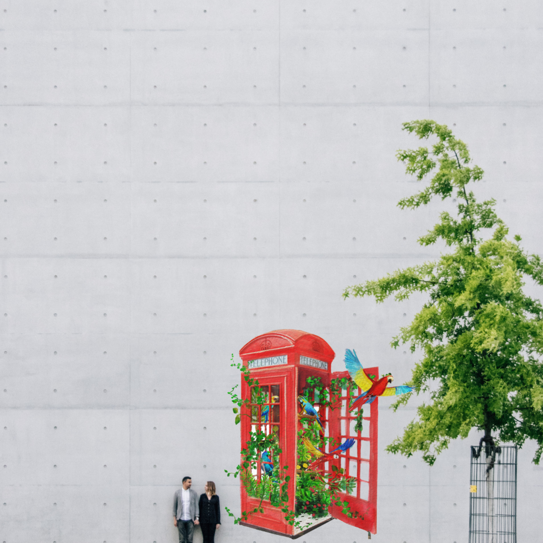NEW - London's Calling Aviery Single Telephone Box Outdoor Print image 6