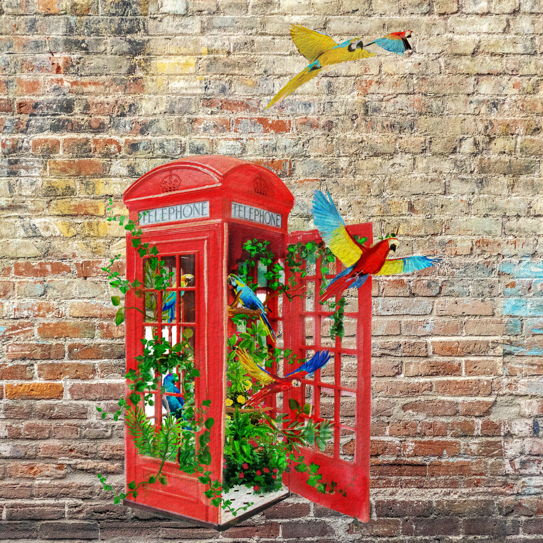 NEW - London's Calling Aviery Single Telephone Box Outdoor Print image 0