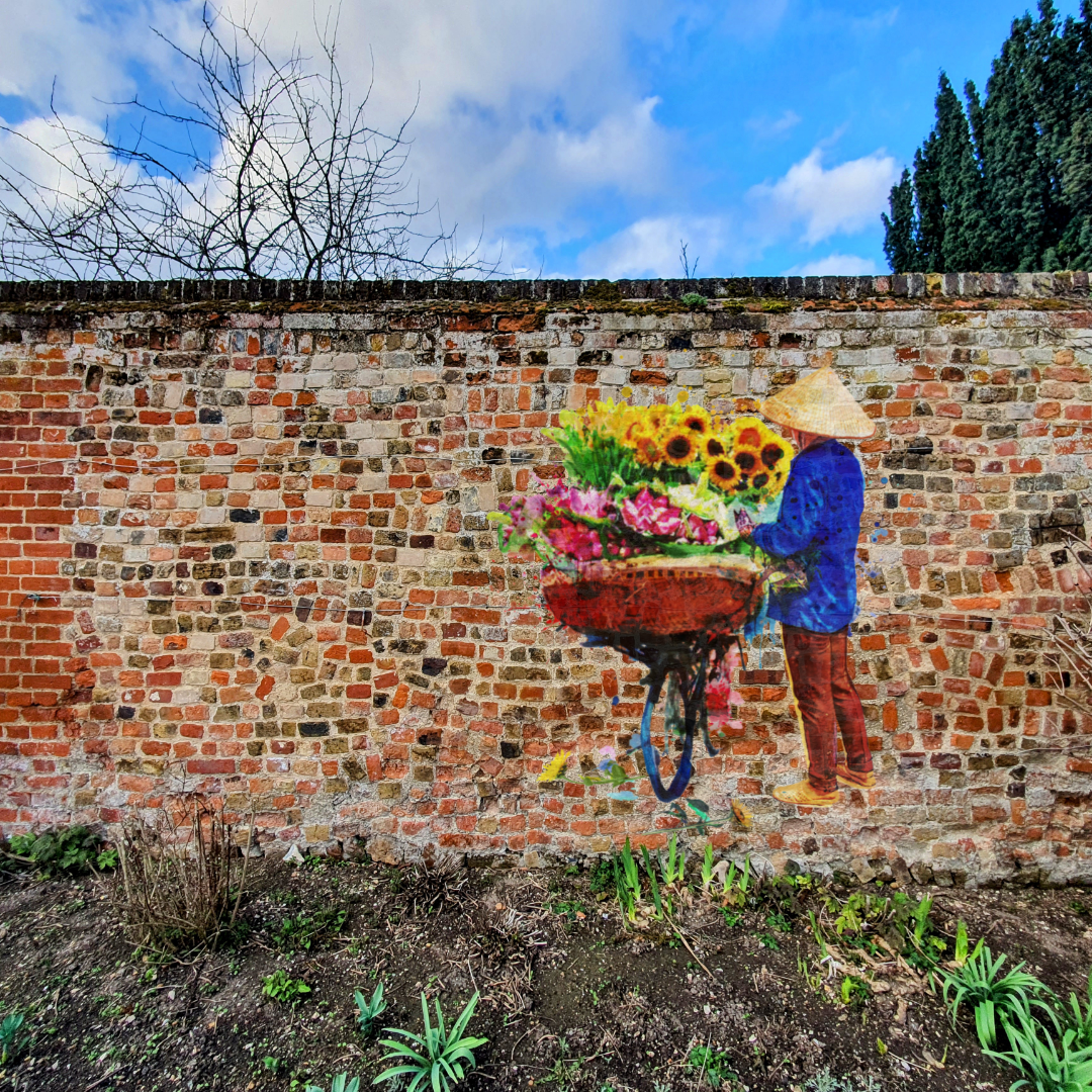 NEW - Hanoi Hustle Sunflowers Outdoor Print image 3