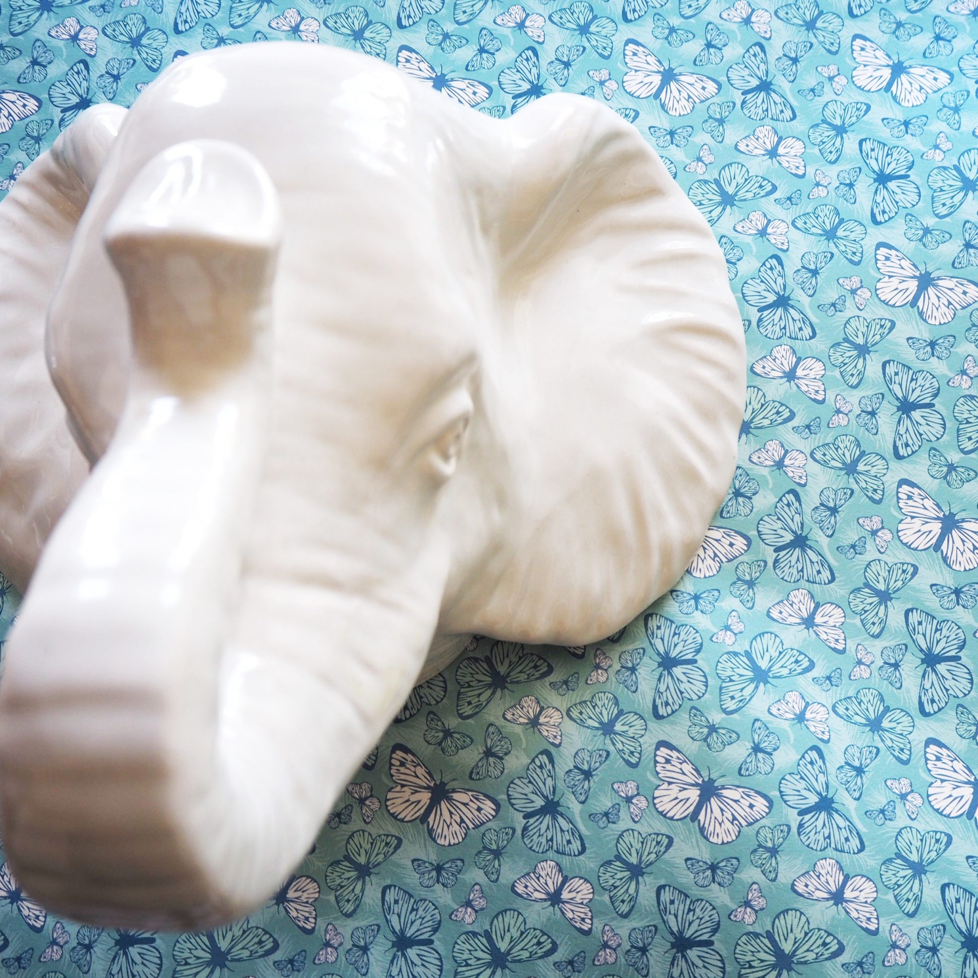 NEW: Free to Fly - Duck Egg Blue image 6