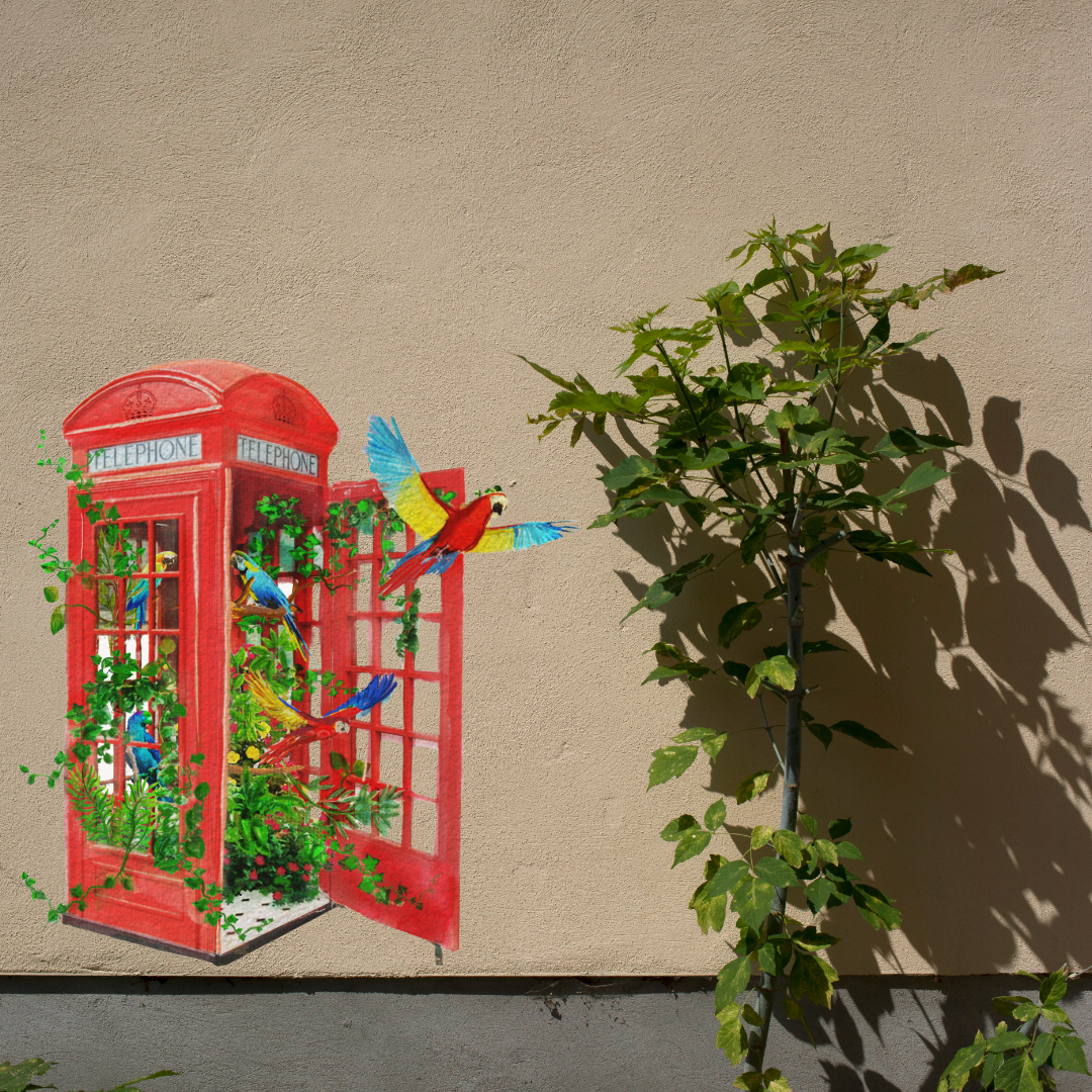 NEW - London's Calling Aviery Single Telephone Box Outdoor Print image 5