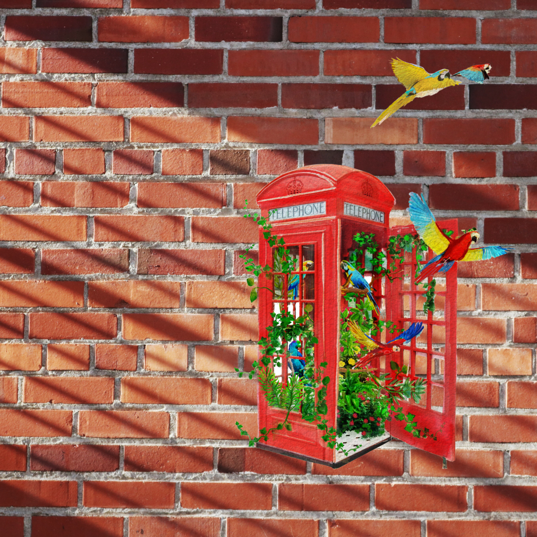 NEW - London's Calling Aviery Single Telephone Box Outdoor Print image 4